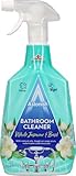 Image of Astonish HOAST005E bathroom cleaner