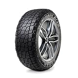 Image of Radar Tires RZD0038 car tyre