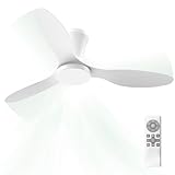 Image of Airwit 60010 ceiling fan