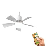 Image of Baergono Baergono ceiling fan