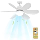 Image of XUZIE FS-HX-R520 ceiling fan
