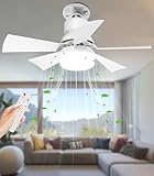 Image of Alljia FS-FT006 ceiling fan
