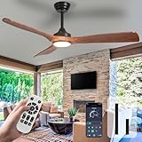 Image of Depuley 52- Inch ceiling fan