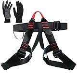 Picture of a climbing harness