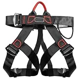 Image of eurNhrN LNUQ240725N9X5C10UK climbing harness