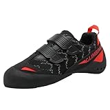 Picture of a climbing shoe