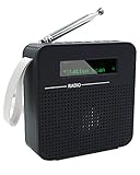 Image of Maxesla 1 DAB radio