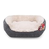 Another picture of a dog bed for puppies