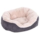 Picture of a dog bed for puppies