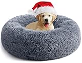 Another picture of a dog bed for puppies