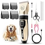 Picture of a dog clipper