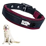 Another picture of a dog collar