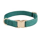 Image of YUDOTE DCLCDY-BGN-S dog collar