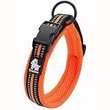 Image of Truelove TLC5011 dog collar