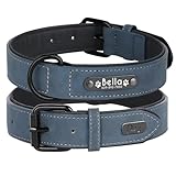 Image of Didog WDC066DBLUE-L-640 dog collar