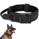 Image of Periflowin  dog collar