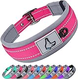 Image of Joytale 12115229 dog collar