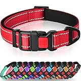 Image of Taglory DC062 dog collar