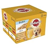 Image of Pedigree NF-GPDH-8YE7 dog food for puppies