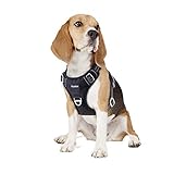 Another picture of a dog harness