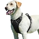 Image of Eagloo DTCW006L-EU-N dog harness
