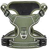 Picture of a dog harness