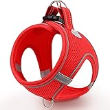 Image of Joytale J-XBD005-RED-M dog harness