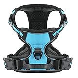 Image of Belababy BD02-S-BLU dog harness