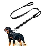 Another picture of a dog leash