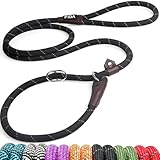 Image of Fida  dog leash