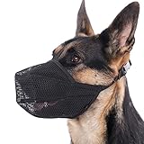 Picture of a dog muzzle