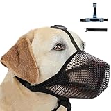 Image of WVWMYM GLZT dog muzzle