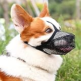 Image of TANDD Black dog muzzle