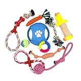 Image of Wefine 20 dog toy
