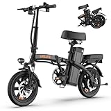 Image of URLIFE F1L electric bike
