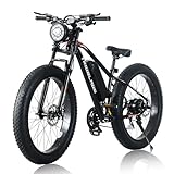 Image of LSBIKE LS-LIN-762+762A+0003N electric bike