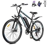 Image of TWOFISH electric bike