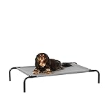 Image of Amazon Basics 2007S-GY elevated dog bed