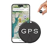 Image of DELESYS 1 GPS tracker