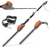 Picture of a hedge trimmer