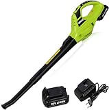 Image of bigzzia Cordless Leaf Air Blower leaf blower