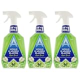 Image of Astonish HOAST007E mould remover