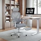 Image of FLEXISPOT  office chair
