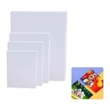Image of Domicubes DS24Photo Paper1113 photo paper