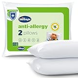 Image of Silentnight 442268GE pillow