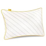 Image of Cosi Home CH-PL01WS-GL pillow