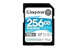 Image of Kingston SDG3/256GB SD card