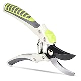 Another picture of a secateurs