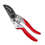 Image of Kimura Kimura secateurs