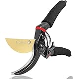 Picture of a secateurs